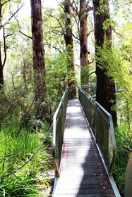 Nornalup Riverside Chalet