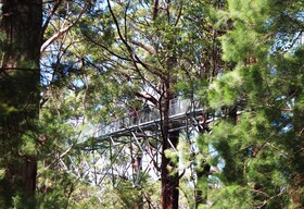 Nornalup Riverside Chalet