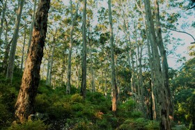 Serenity House Pemberton