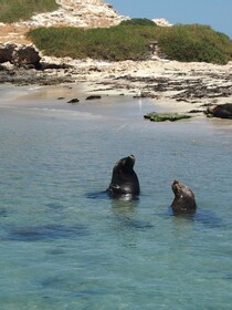 Anchorage Guest House