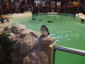 Anchorage Guest House