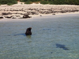 Anchorage Guest House