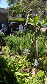 Anchorage Guest House