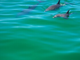 Anchorage Guest House