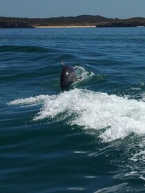 Anchorage Guest House