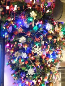 Anchorage Guest House