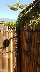 Anchorage Guest House