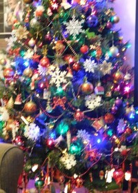 Anchorage Guest House