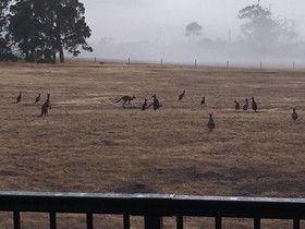 Margaret River Farmhouse