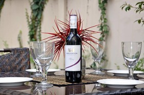 Park Vista Executive Apartments