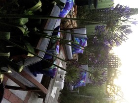 Bed and Breakfast in Perth