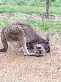 Walpole Wilderness Resort