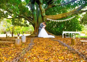Wellington Forest Cottages & Conference Centre