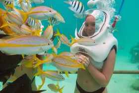 Azure Beach Residences