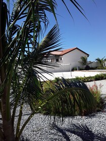 Aruba’s Life Residences