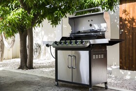 Little Cactus Apartments Aruba