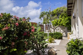 Little Cactus Apartments Aruba