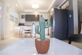 Little Cactus Apartments Aruba