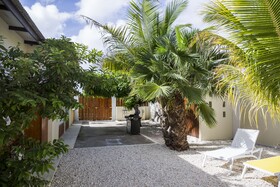 Little Cactus Apartments Aruba