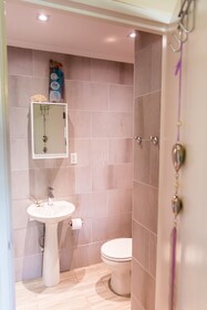 Little Jungle Apartments Aruba