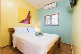 Little Jungle Apartments Aruba