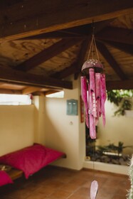 Little Jungle Apartments Aruba