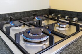 Little Jungle Apartments Aruba