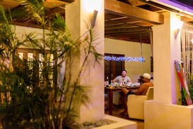 Little Jungle Apartments Aruba