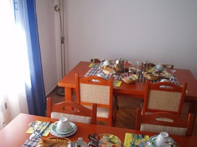 Pansion Rajic