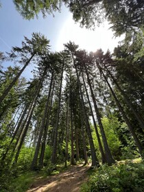 Pino Nature Hotel