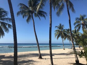 Coconut Court Beach Hotel