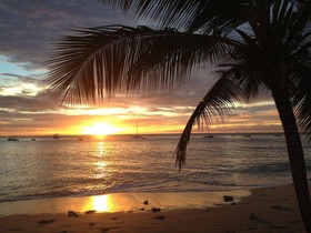 Tropical Sunset