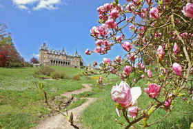 Domaine de Ronchinne - Château et Ecuries