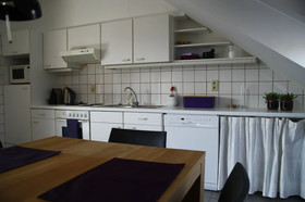 Bizzle Flats Paal