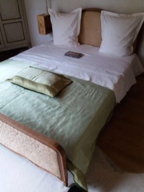 B&B Golden Lion Bouillon