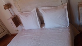 B&B Golden Lion Bouillon