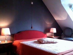 Die Swaene