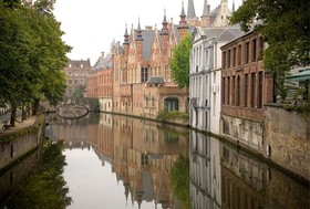 Die Swaene