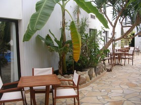 Tropical
