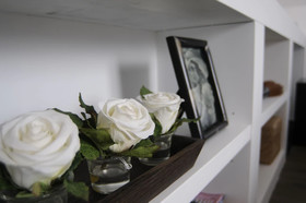 B&B Belrose Luxury