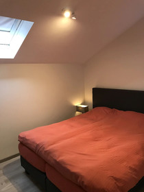 Sakura Lodging