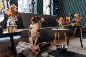 Ibis Styles Hasselt City Centre