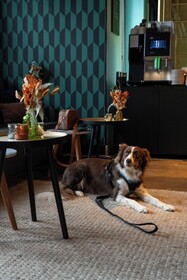 Ibis Styles Hasselt City Centre