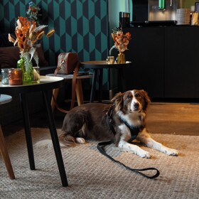 Ibis Styles Hasselt City Centre