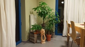 Hotel Amethist