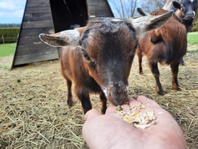 Gites La Ferme Samson