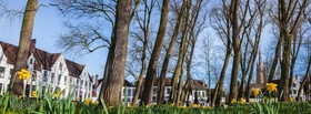 Ibis Budget Brugge Jabbeke