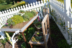 Vakantiewoning De Pluktuin