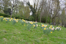 Vakantiewoning De Pluktuin