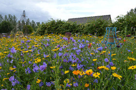 Vakantiewoning De Pluktuin